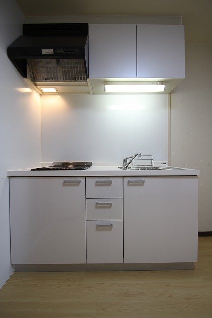 キッチン　同物件別号室のものです。