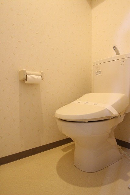 トイレ　同物件別号室のものです。