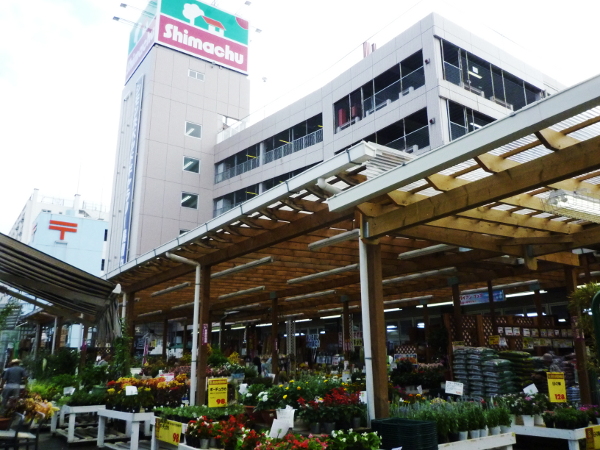 ホームセンター　島忠大田千鳥店（ホームセンター）まで568m