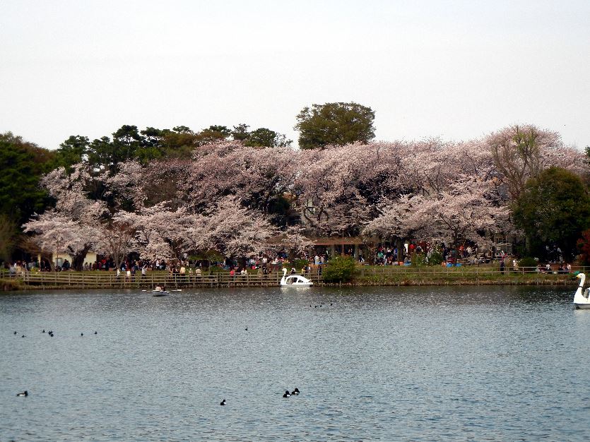 公園　洗足池公園（公園）まで580m