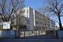 小学校　朝霞市立朝霞第十小学校（小学校）まで361m