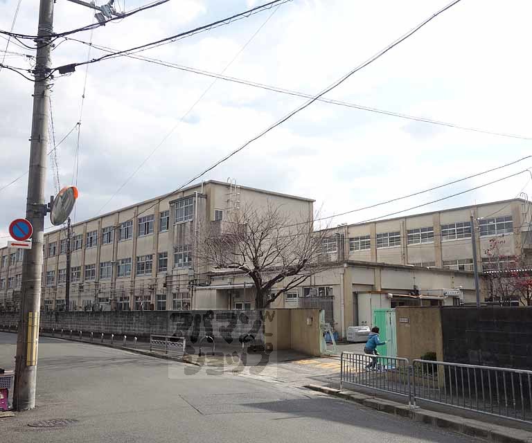 小学校　大薮小学校（小学校）まで600m