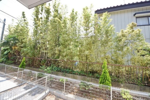 眺望　テラスからの景色です