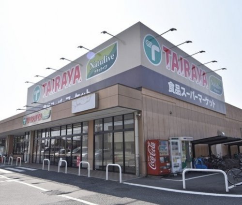 スーパー　エコス TAIRAYA(タイラヤ) 小平店（スーパー）まで587m
