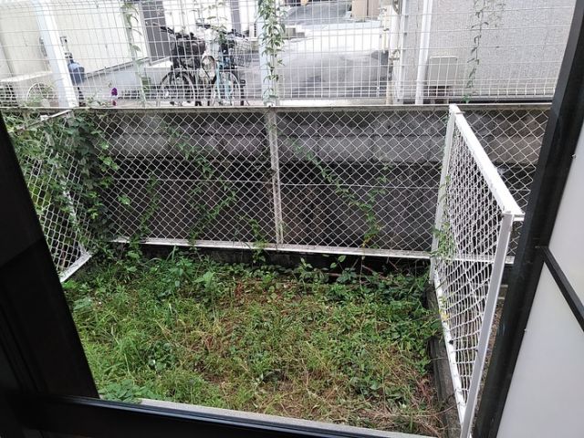庭