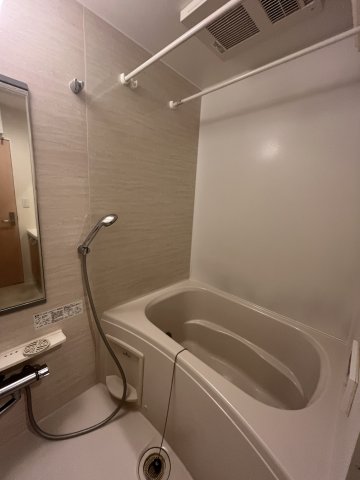 バス・シャワールーム　同タイプ別部屋の参考写真