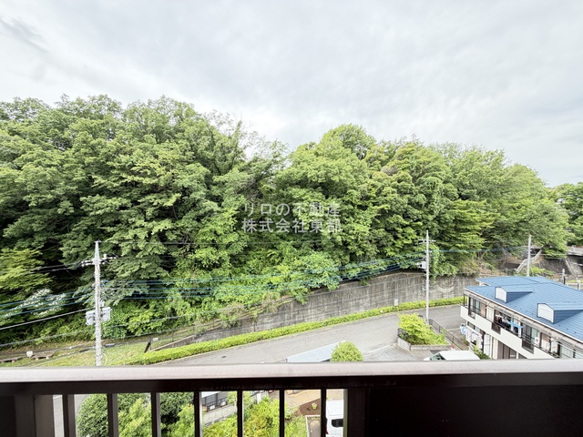 眺望　お部屋前には緑があるので、心癒されますね☆