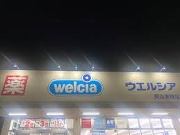 ドラックストア　ウエルシア岡山東畦店（ドラッグストア）まで358m
