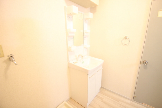 洗面設備　※別号室の写真です。