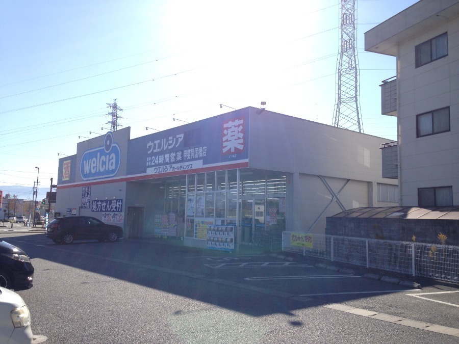 ドラックストア　ウエルシア甲斐開国橋店（ドラッグストア）まで607m
