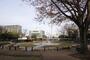 公園　天沼弁天池公園（公園）まで242m