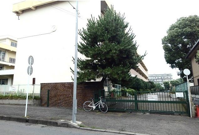 小学校　相模原市立緑台小学校（小学校）まで500m
