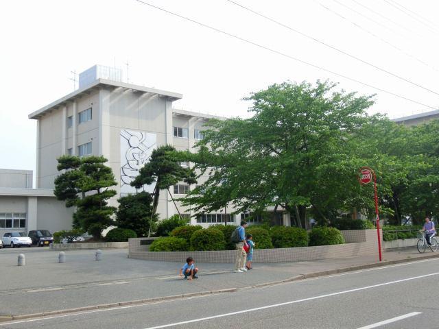 小学校　新潟市立紫竹山小学校（小学校）まで601m