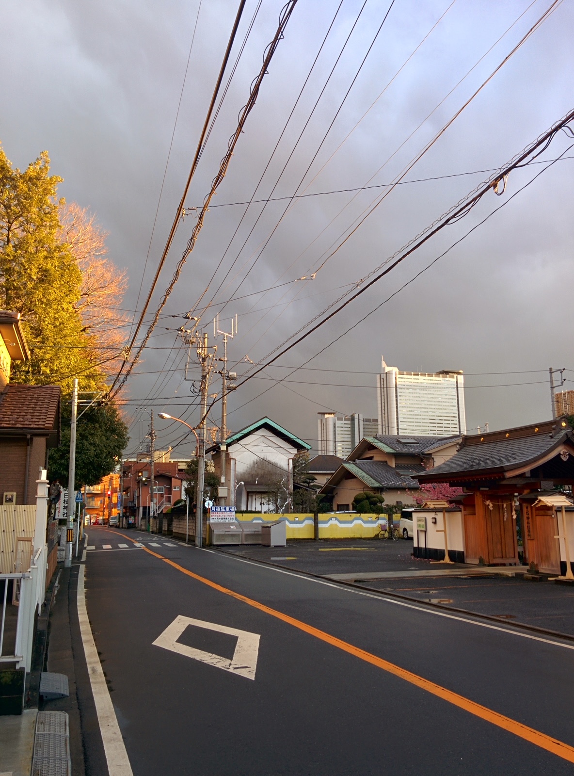 その他　前面道路