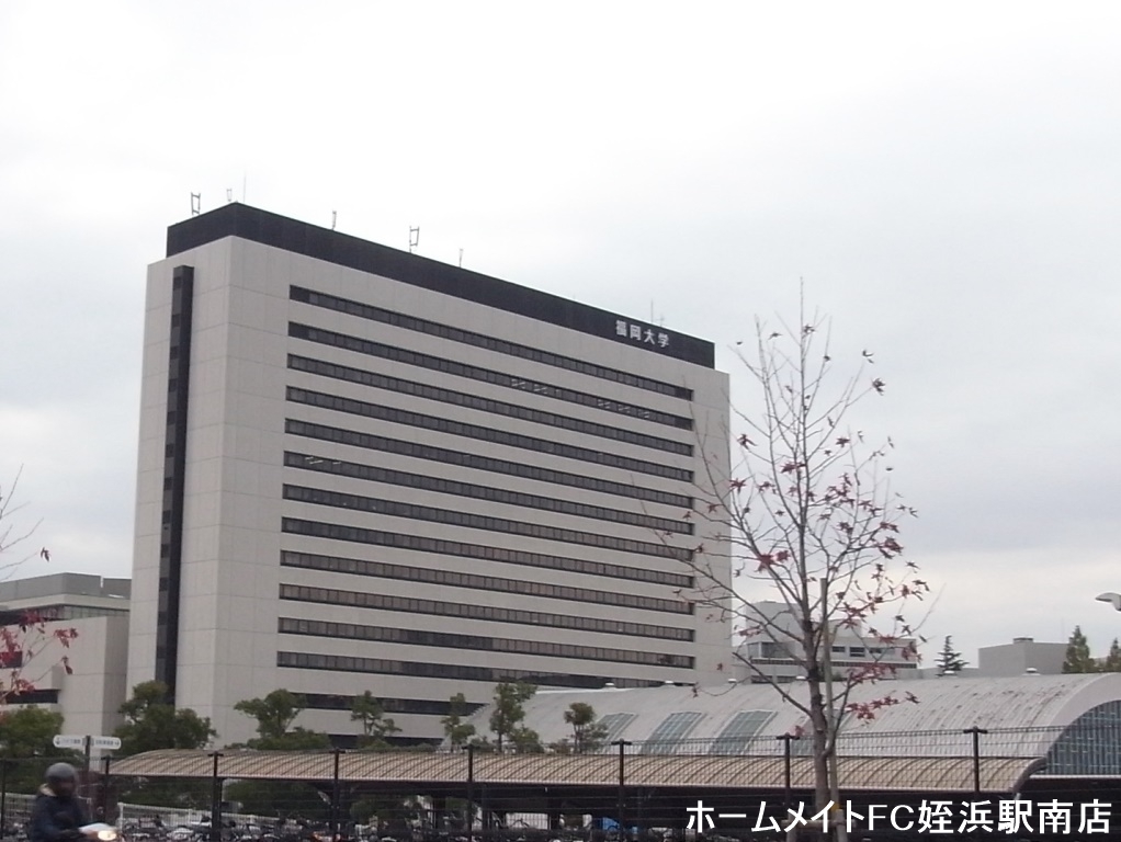 大学・短大　福岡大学（大学・短大）まで2264m