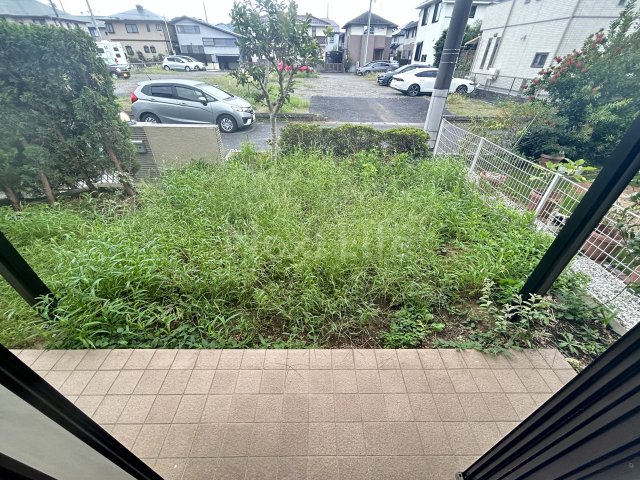 庭