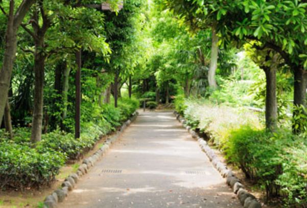 公園　洲崎川緑道公園（公園）まで449m