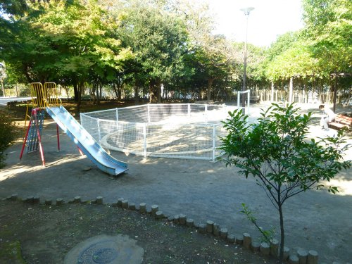 公園　中央西公園（公園）まで591m