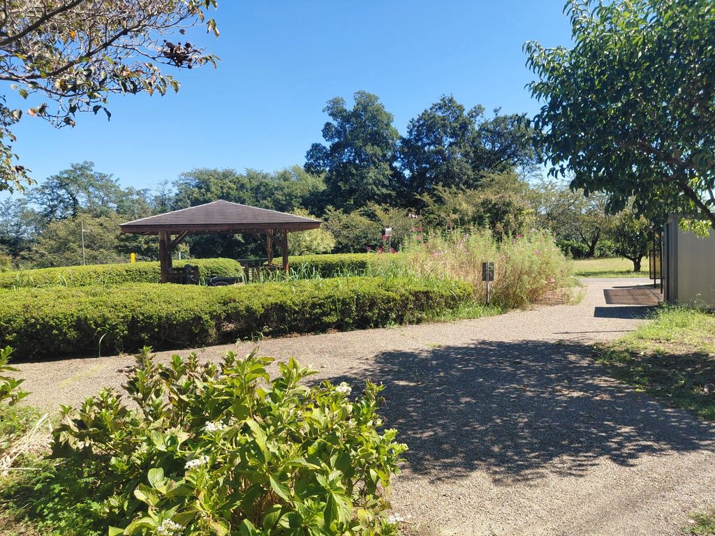 公園　カワチ薬品大利根店（公園）まで50m