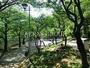 公園　江戸川公園（公園）まで475m