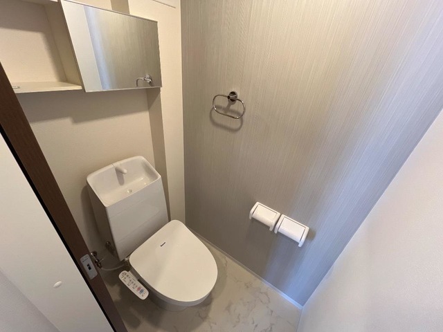 雄琴3丁目アパート新築工事のトイレ写真
