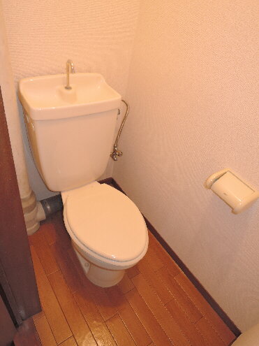 スカイコート Iのトイレ写真