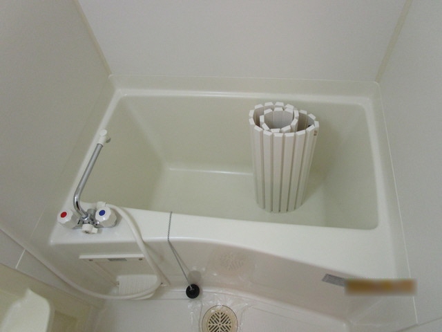 アルコバレーノ白水の風呂写真