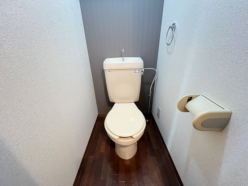 ストラスブールのトイレ写真