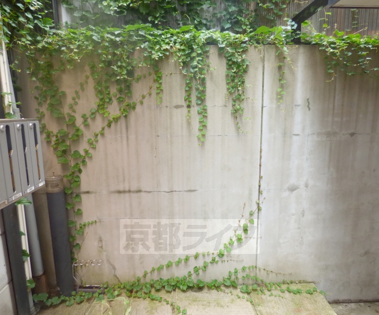 庭