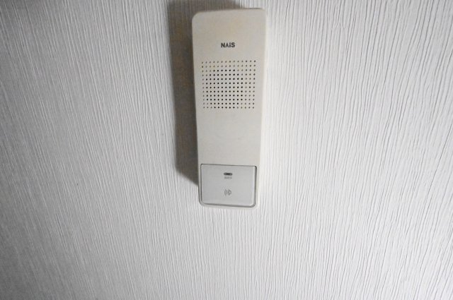 ソルティ二階堂のその他写真