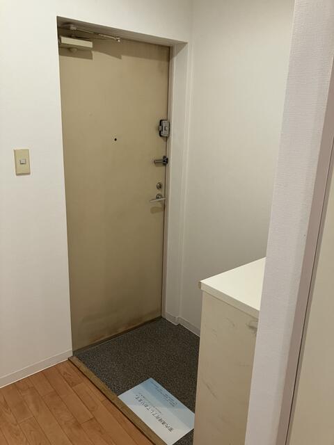 玄関　他号室　同施工参考写真