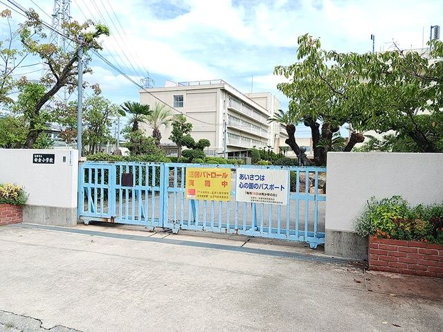 小学校　安倉小学校（小学校）まで346m