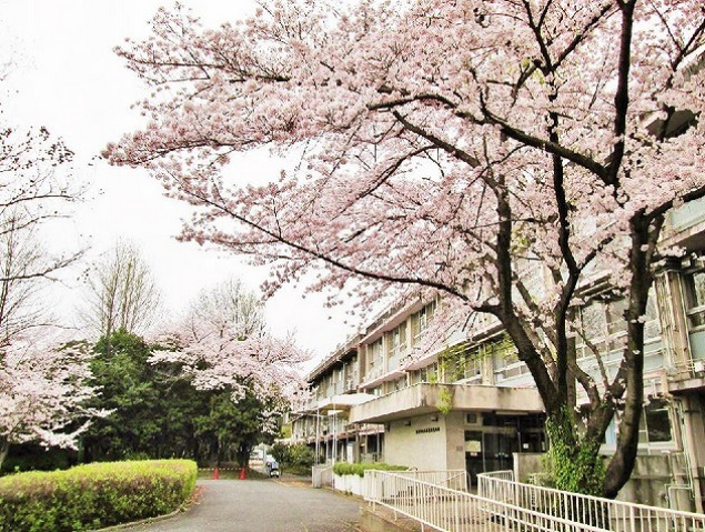 【千里ローレルハイツの病院】