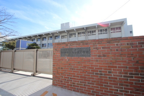 Ｔフラッツの小学校