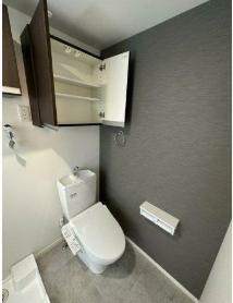 トイレ　＊同施工の写真です。