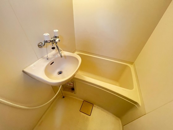 バス・シャワールーム　※別部屋の写真です