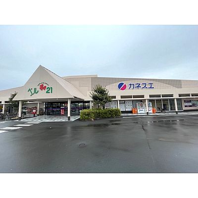 ドラックストア　カルナドラッグストアベル21店（ドラッグストア）まで2033m