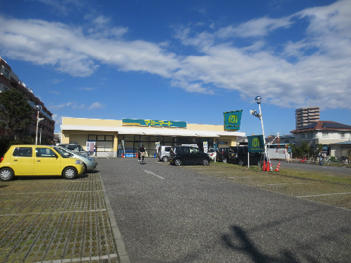 オリーブの周辺写真