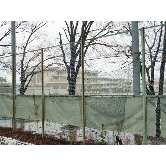 中学校　碧南市立南中学校（中学校）まで373m