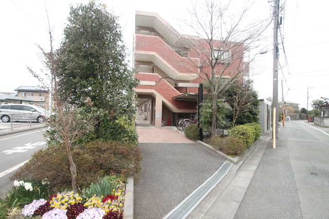 エントランス　エントランス！