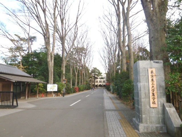 大学・短大　国立東京農工大学（大学・短大）まで446m