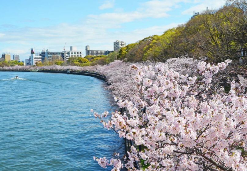 公園　毛馬桜ノ宮公園（公園）まで1110m