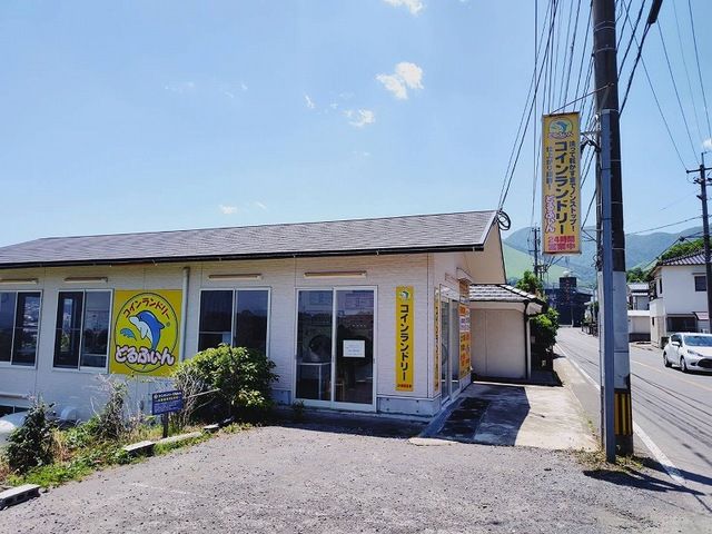 その他　コインランドリーどるふぃん（その他）まで750m