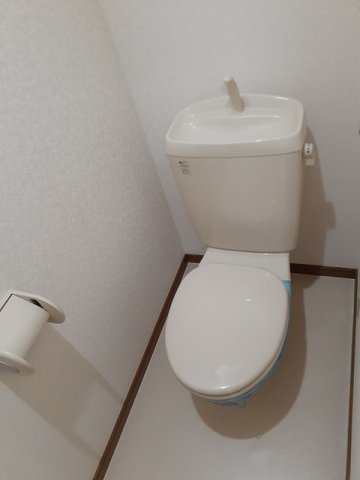トイレ　トイレも気になるポイント