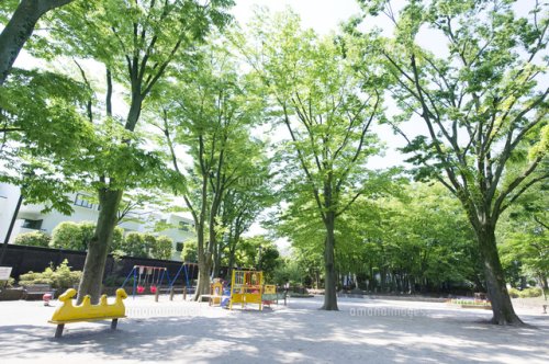 公園　大宮前公園（公園）まで473m