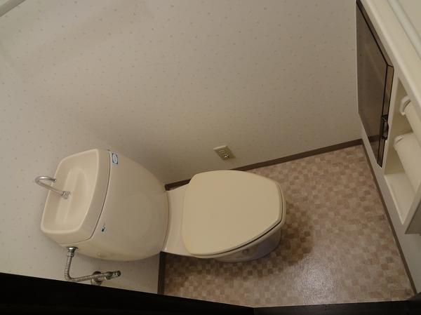 トモバヤシハイタウンB棟のトイレ写真