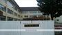 小学校　柏小学校（小学校）まで491m