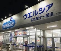 ドラックストア　ウエルシア名古屋十一屋店（ドラッグストア）まで876m
