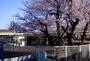 幼稚園・保育園　藤沢市明治保育園（幼稚園・保育園）まで99m