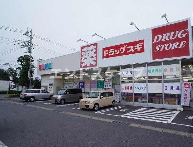 その他　ドラッグスギ天川大島店まで450m 高崎、前橋のお部屋探しは